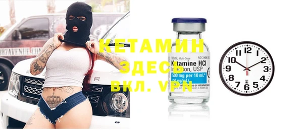 хмурый Пересвет