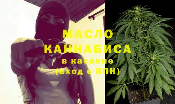 крисы Гусь-Хрустальный