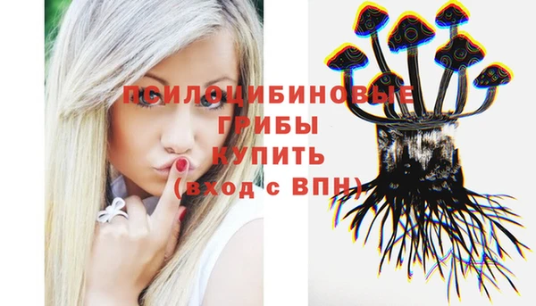гидропоника Горно-Алтайск