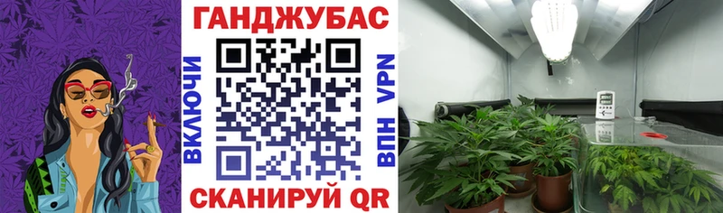 Бошки марихуана сатива Светлый